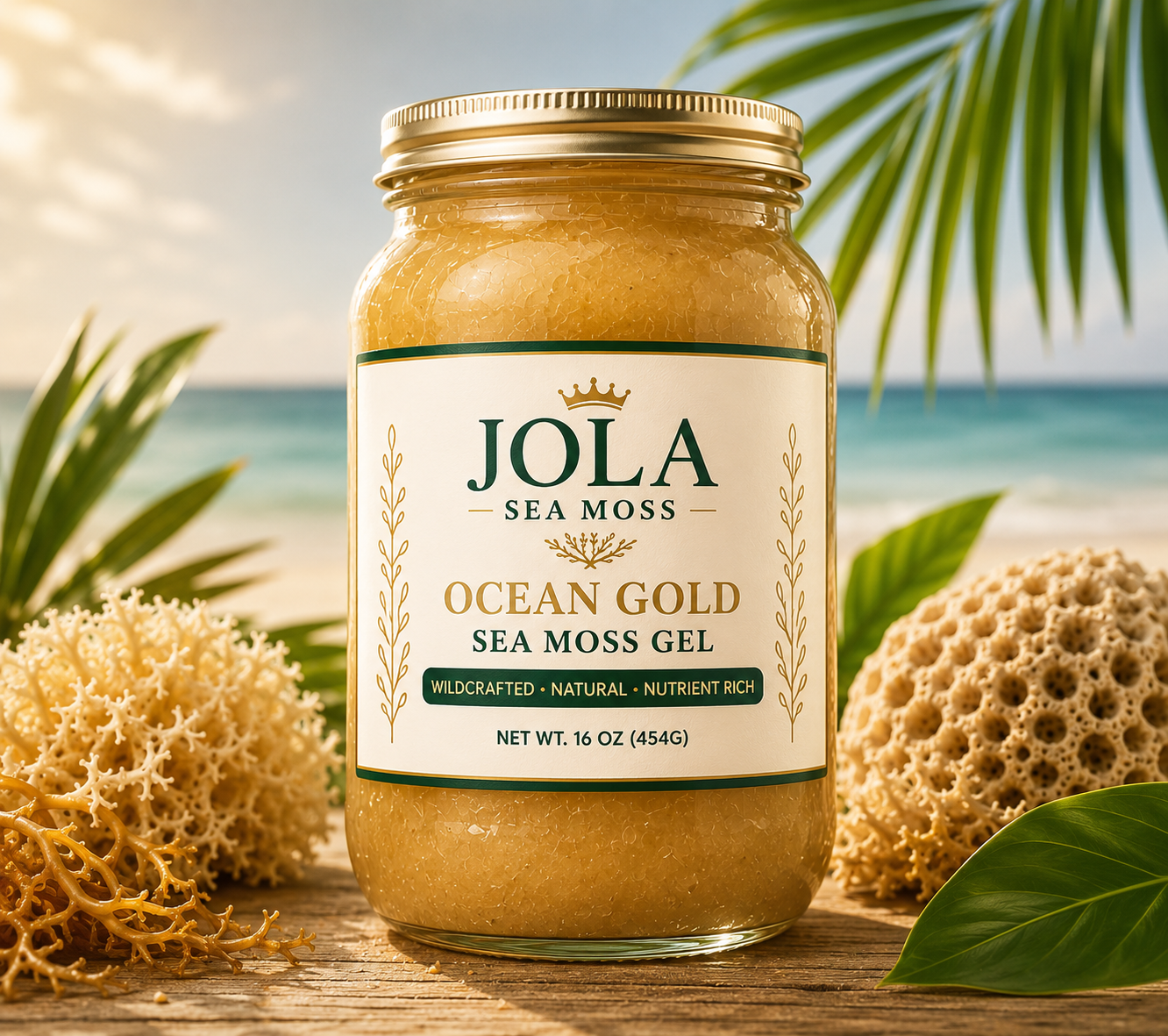 Ocean Gold Irish Sea Moss Gel – 16oz Jar