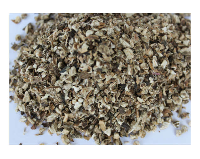 Burdock Root